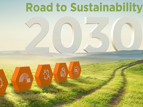 Road to Sustainability