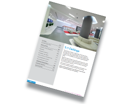 Blueprint 5.1 Ceilings